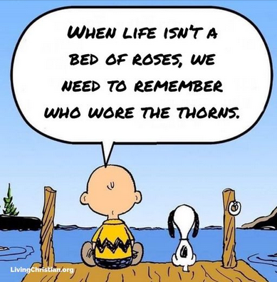 roses
                & thorns